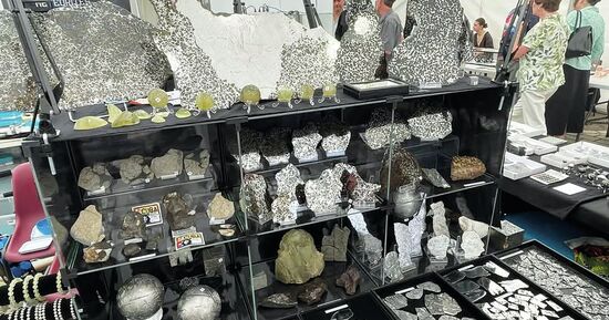 Ensisheim f&ecirc;te les 25 ans de son Meteorite Show