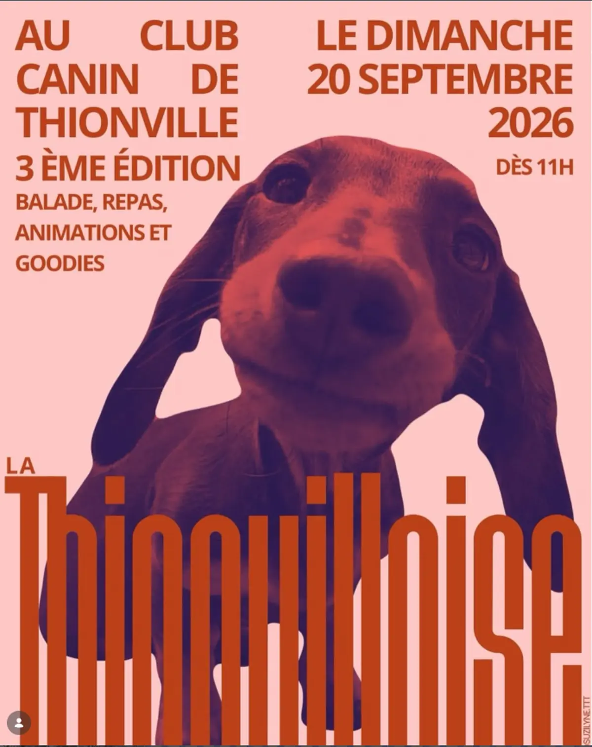 La Thionvilloise des teckels
