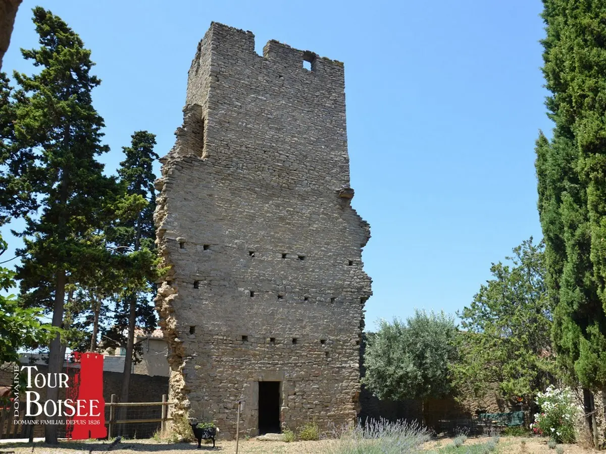 La Tour Boisée En Balade