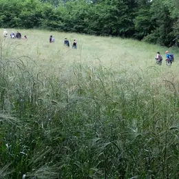 La tournée de Lucien le Garde Champêtre