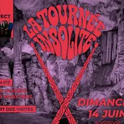 La Tournée Insolite - Visites Guidées Musicales