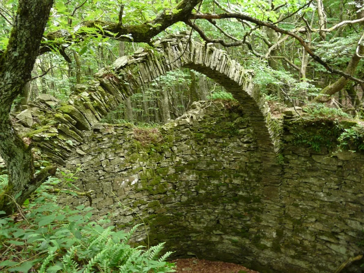 La Tournée Insolite - Visites Guidées Musicales