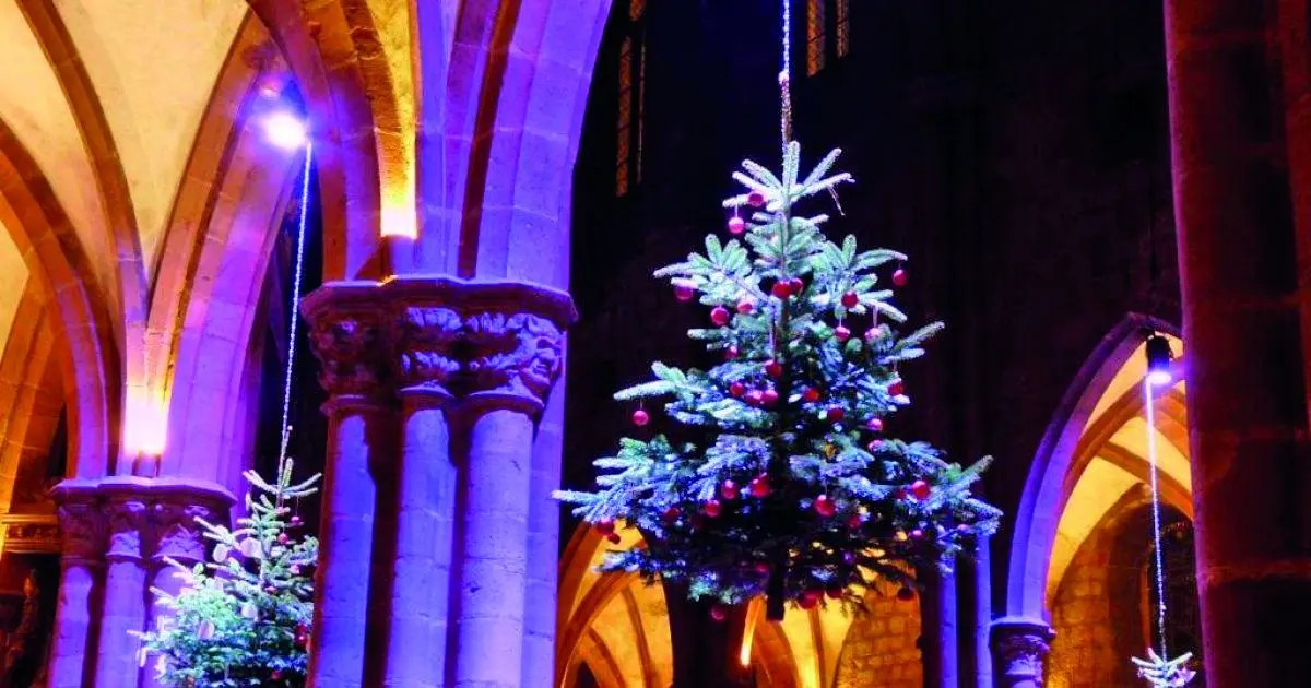 La tradition du sapin de noël