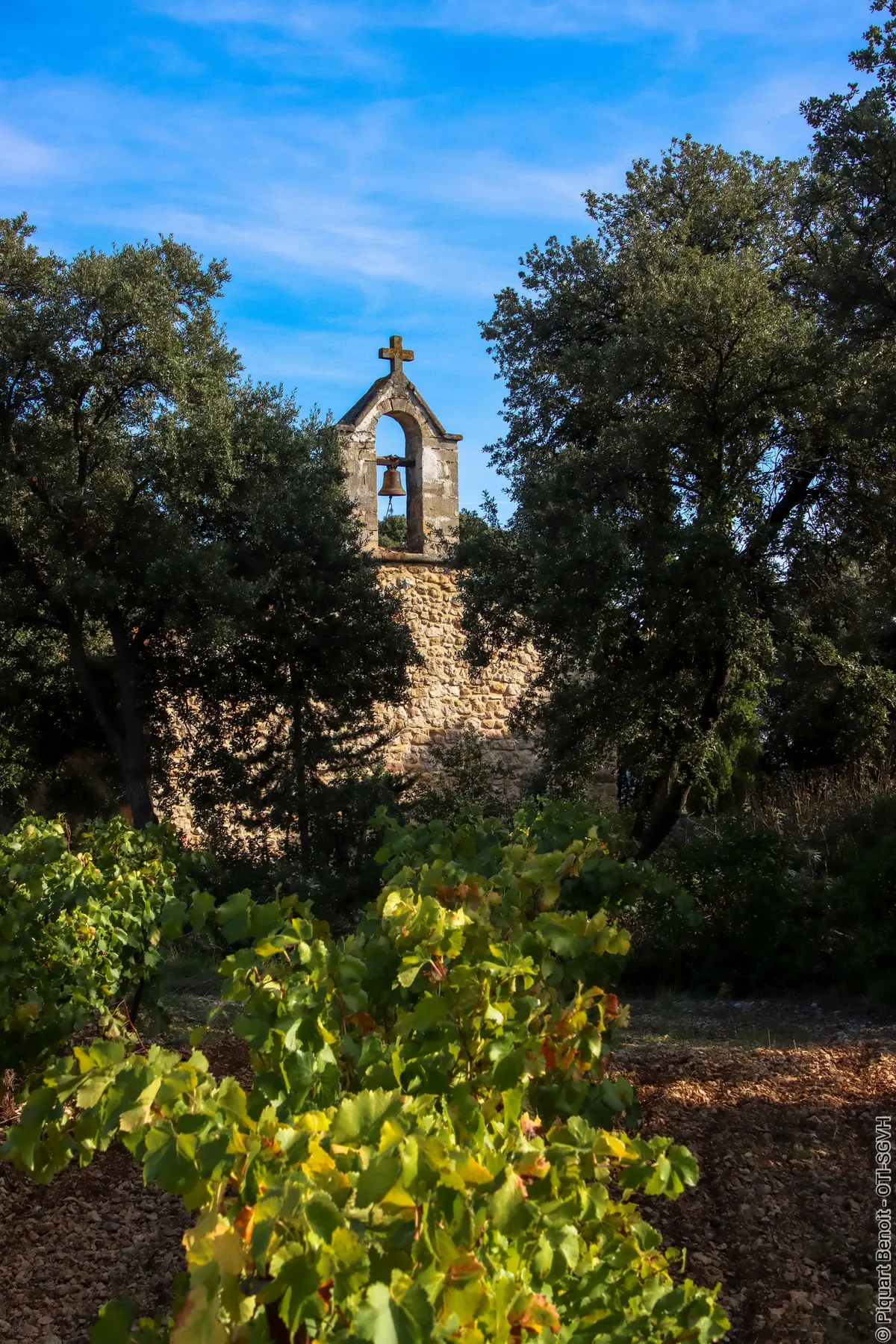 La Traïlades Des Vincoeurs