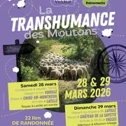 La transhumance de Mouton Village édition 2026