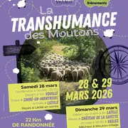 La Transhumance des Moutons