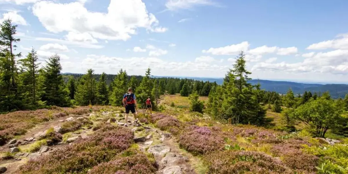Randonnée sur la route des Crêtes dans les Vosges 