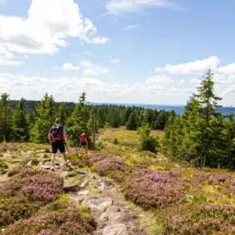 La Traversée du Massif des Vosges vient de décrocher pour la troisième fois le label Best of Europe, une distinction que nul autre sentier français ne détient