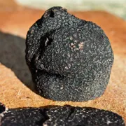 La truffe noire du Périgord