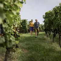 Randonnée viticole autour d’Ullenburg &copy; Renchtal Tourismus GmbH, photo Jigal Fichtner