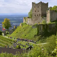 Randonnée viticole et gourmande à Oberkirch &copy; Stadt Oberkirch
