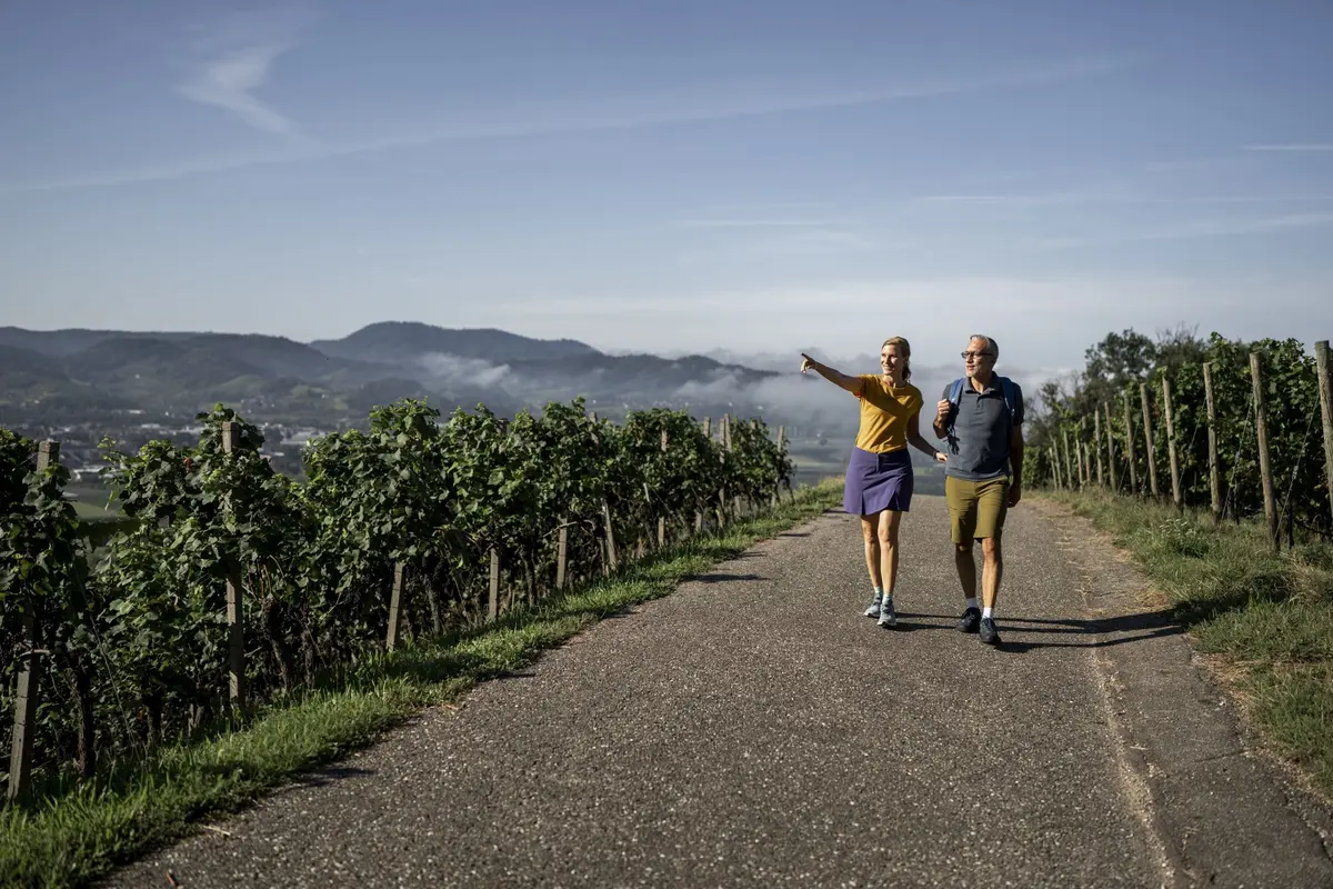 Balade dans les vignes sur un circuit viticole de la Renchtal