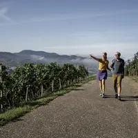 Balade dans les vignes sur un circuit viticole de la Renchtal &copy; Renchtal Tourismus GmbH, photo Jigal Fichtner