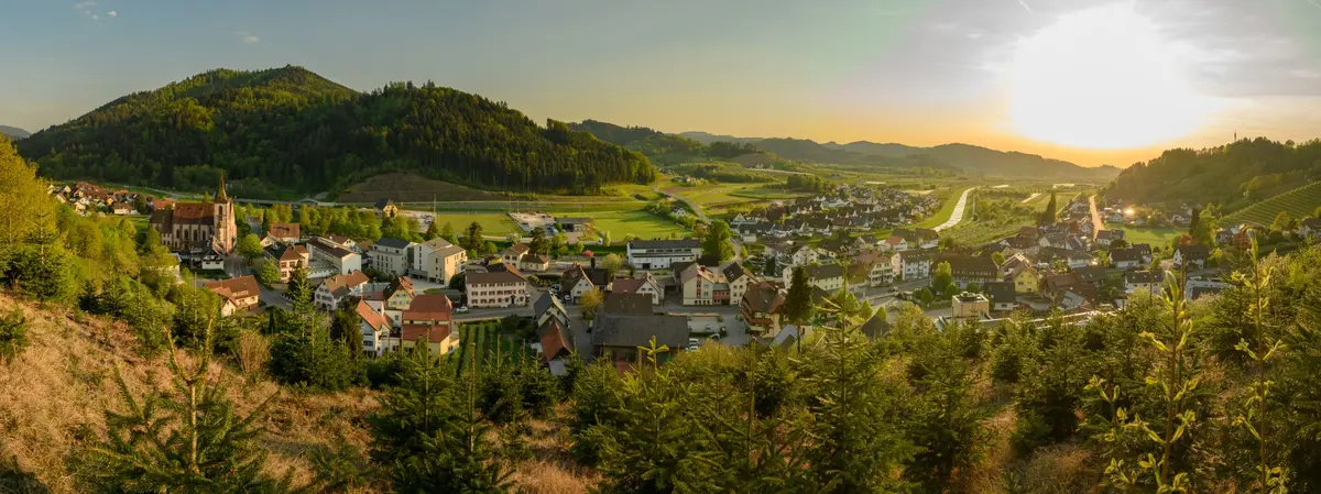 Vue panoramique sur Lautenbach et ses vignes