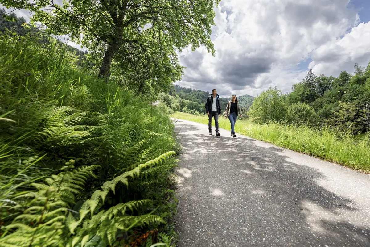 Randonnée au cœur des paysages d’Oppenau