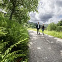 Randonnée au cœur des paysages d’Oppenau &copy; Renchtal Tourismus GmbH, photo Jigal Fichtner