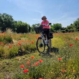 La Vellilocienne - Promenade à vélo