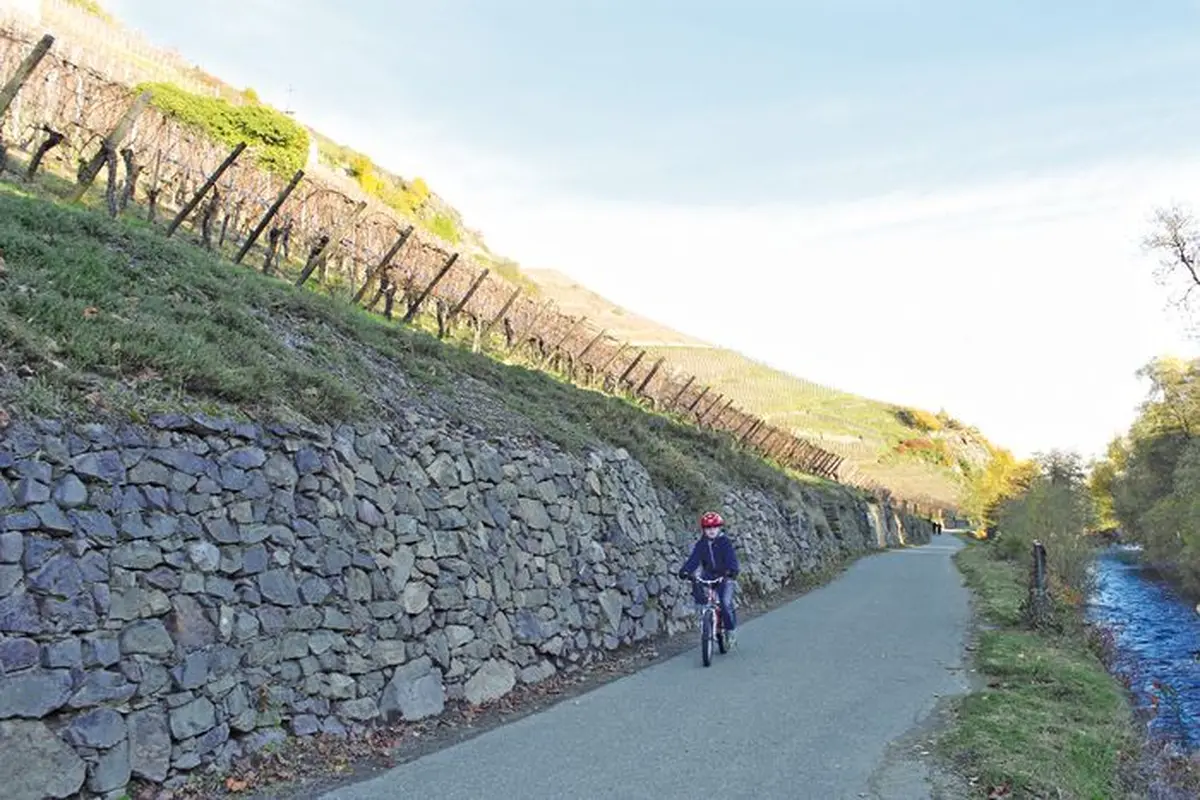 La véloroute du vignoble