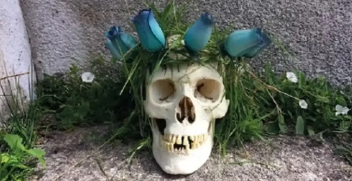 La véritable histoire d’Hamlet - Saison Ah ?