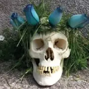 La véritable histoire d’Hamlet - Saison Ah ?