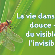 La vie dans l’eau douce – du visible à l’invisible