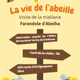 La vie de l'abeille - visite d'une miellerie