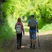 La vie des landes et tourbières
