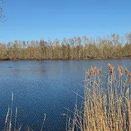 La vie du Trou Boully en automne