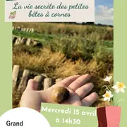 La vie secrète des petites bêtes à cornes