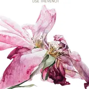 La voix des fleurs en écho à 花道 (Kadō)