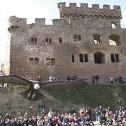 4 idées de sorties pour voir des animaux en Alsace