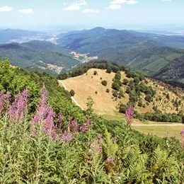 Escapade au Petit Ballon