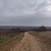 Découverte de la colline du Bollenberg