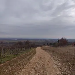 Découverte de la colline du Bollenberg