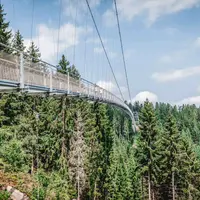 La WILDLINE, pont suspendu au coeur de la Forêt-Noire en Allemagne vous attend DR