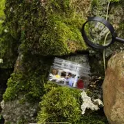 Labo des contes : Jardin dans tous les sens