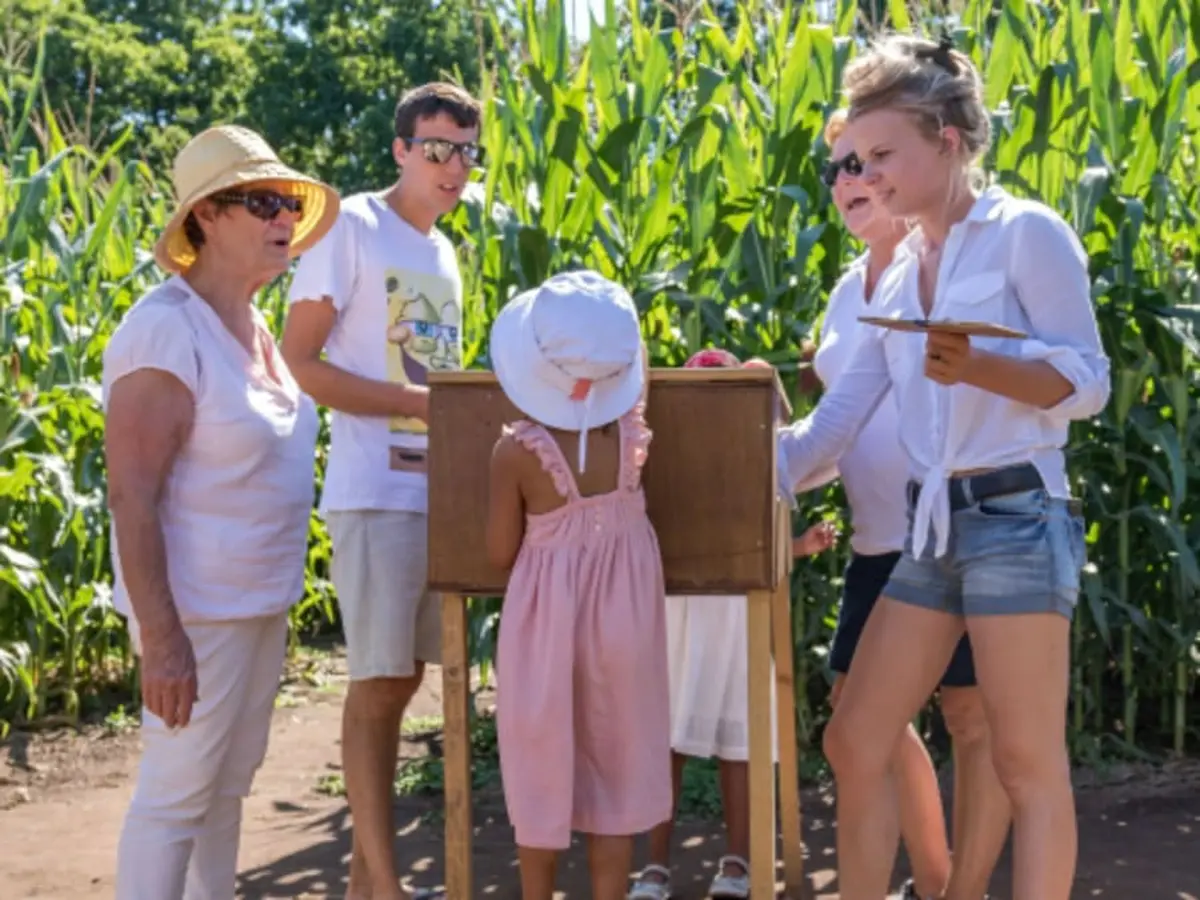 Labyrinthe géant dans un champ de maïs à Ableiges (95)