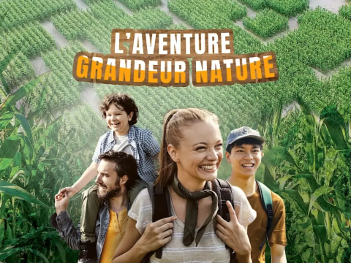 Labyrinthe géant dans un champ de maïs à Amiens (80)