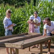 Labyrinthe géant dans un champ de maïs à Marcoussis (91)