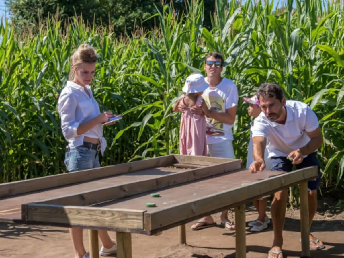 Labyrinthe géant dans un champ de maïs -Jouars Pontchartrain(78)