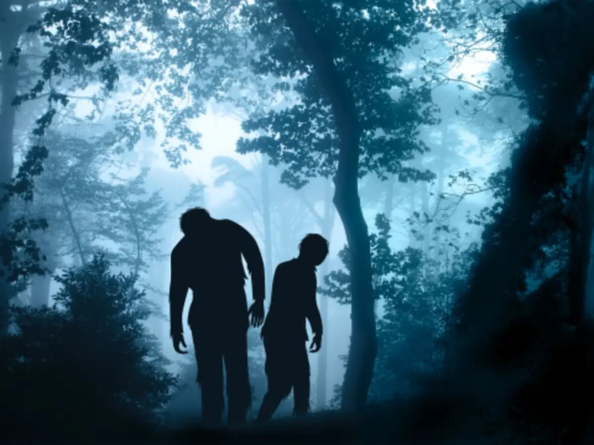 Labyrinthe Les terreurs nocturnes Toulouse Ouest