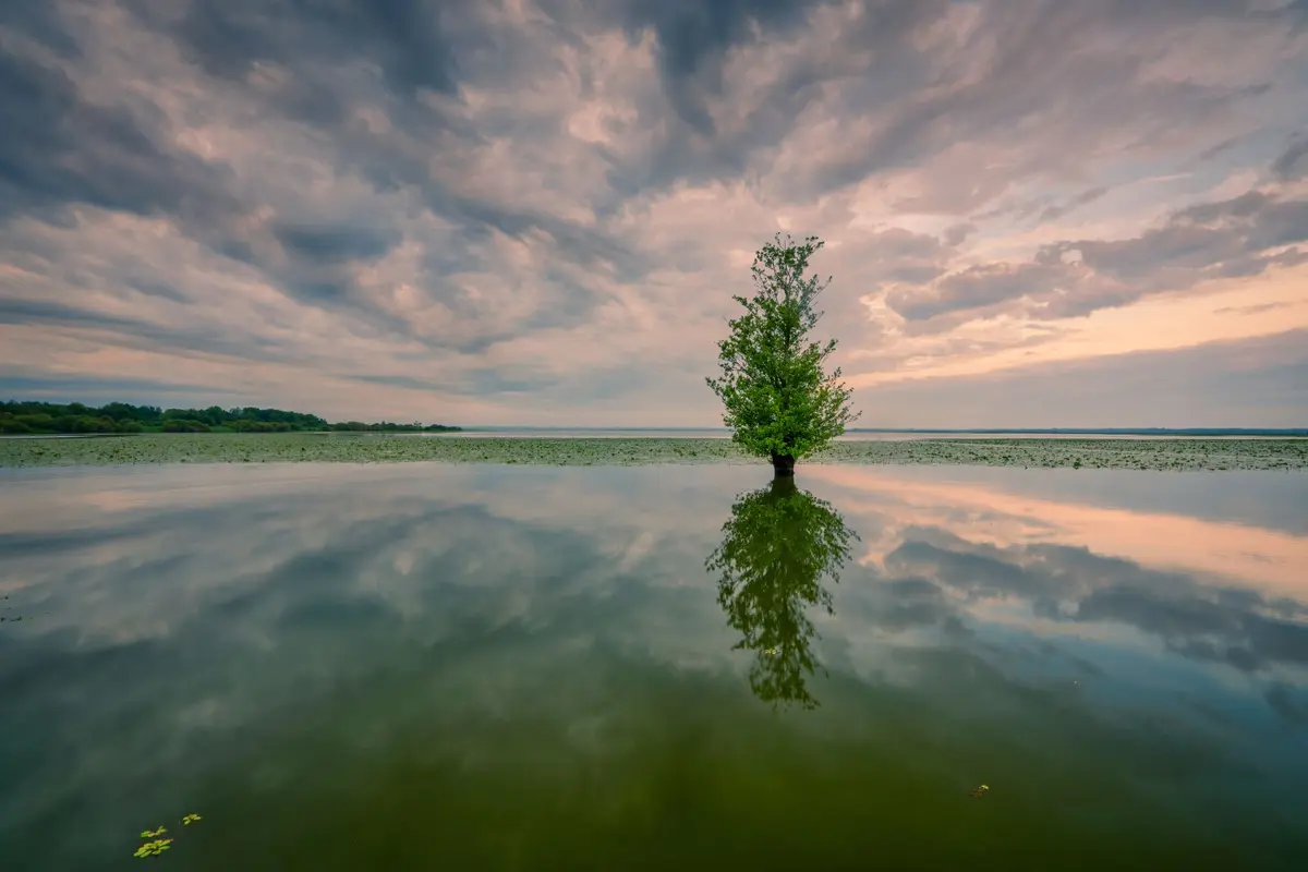 Lac de Grand Lieu