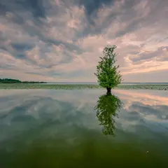 Lac de Grand Lieu