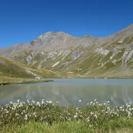 Lac de la Partie : la discrète pépite de la vallée de la Clarée
