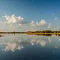 Lac de Rillé