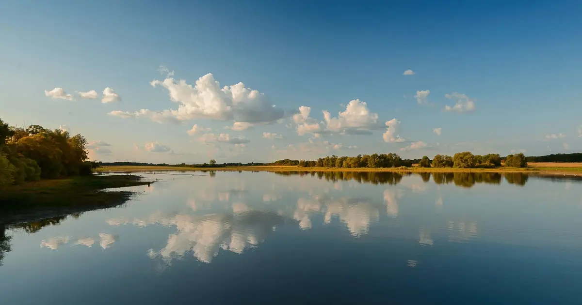 Lac de Rillé