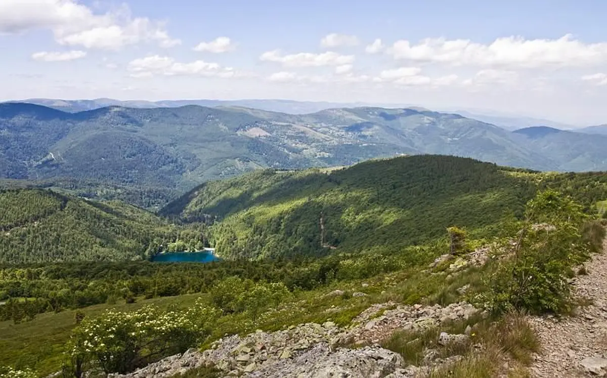 Le lac vu du Grand Ballon