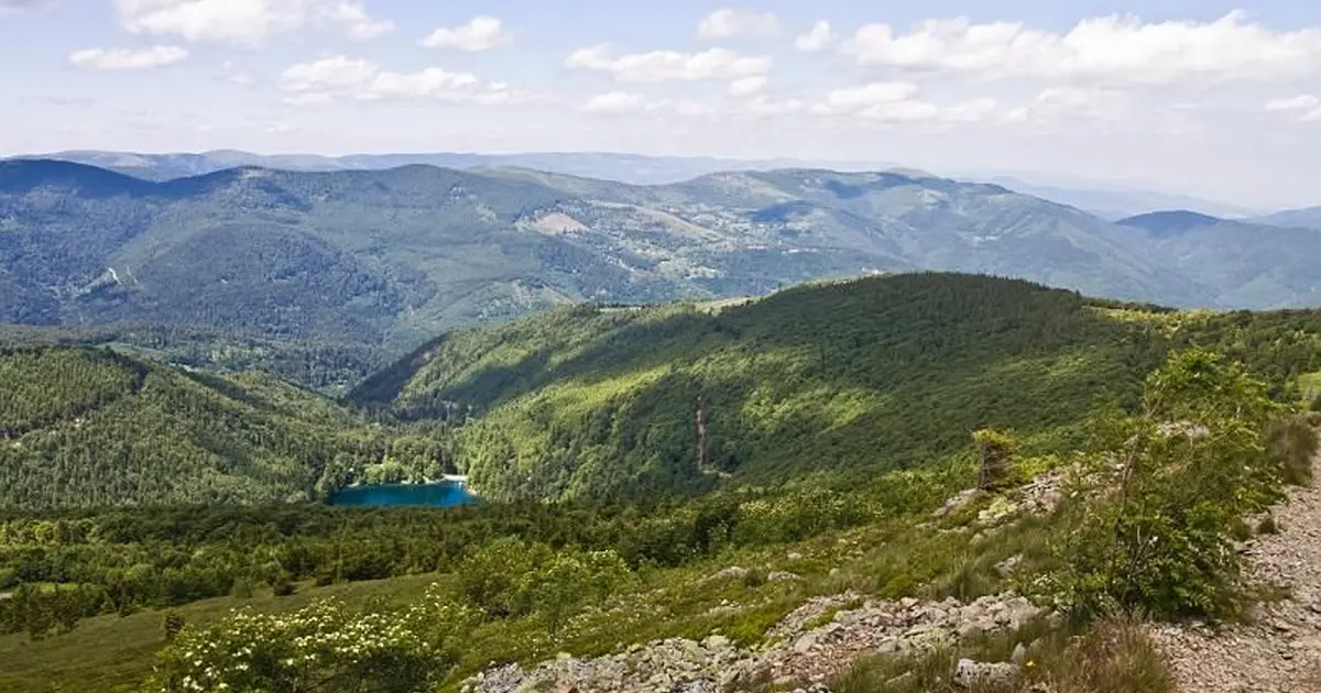 Le lac vu du Grand Ballon