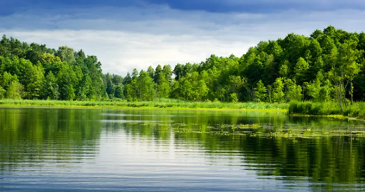 Les lacs et réserves d'eau Alsace vous réservent calme et détente...
