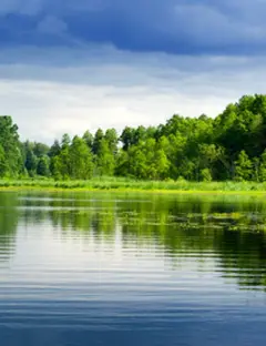 Plan d'eau du Baggersee